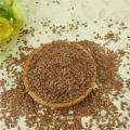 brown flax seeds